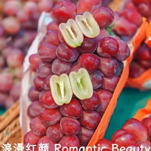 Grafted Grape Vine Seedlings - Mixed Variety Sweet Fruit Plant for Backyard Garden, 1 Plant - Image 7