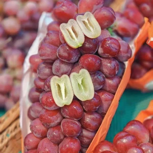 Grafted Romantic Beauty Grape Vine Bare Root Plant – Sweet Table Grapes Outdoor - Image 1