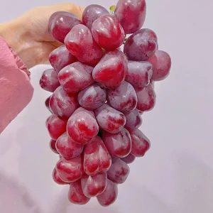 Grafted Romantic Beauty Grape Vine Bare Root Plant – Sweet Table Grapes Outdoor - Image 5