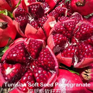 Grafted Tunisian Soft Seed Pomegranate Tree Live Plant – Sweet Fruit - Image 4