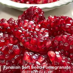 Grafted Tunisian Soft Seed Pomegranate Tree Live Plant – Sweet Fruit - Image 5
