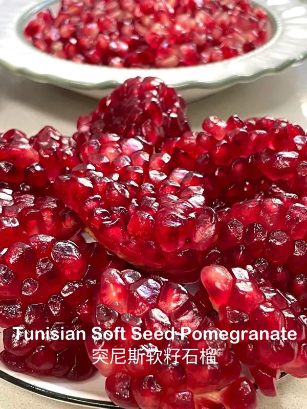 Grafted Tunisian Soft Seed Pomegranate Tree Live Plant – Sweet Fruit - Image 5