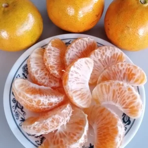 Honey Tangerine Seeds - 5 Pack - Sweet Citrus Fruit Tree Seeds for Outdoor Growing - Image 4