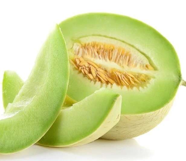 Honeydew Melon Seeds - 50+ Organic Fruit Seeds - Easy to Grow Outdoor Vines - Image 2