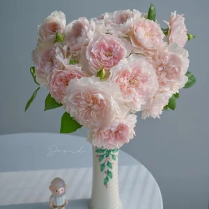 Jia Shu Rose Live Plant - Pink to White, 80-120 cm Height, Reblooming - Image 3
