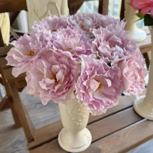 Luningxiang Rose Live Plant – Pink Double Flowers – 80-120 cm Tall – Outdoor - Image 2