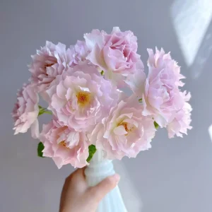 Luningxiang Rose Live Plant – Pink Double Flowers – 80-120 cm Tall – Outdoor - Image 4