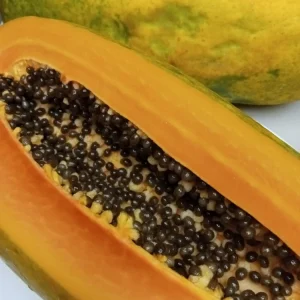 Maradol Papaya Seeds - Sweet Tropical Fruit - 50+ Seeds for Indoor/Outdoor Growing - Image 1