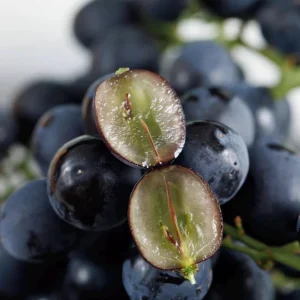 Muscat Hamburg Meiguixiang Grape Vine – Bare Root Plant for Outdoor Gardening - Image 2