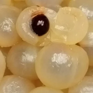 Organic Longan Seeds - 5 Pack - Exotic Tropical Fruit Seeds for Planting - Outdoor - Image 3