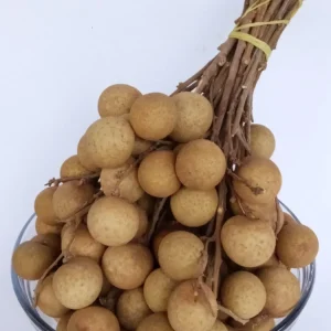 Organic Longan Seeds - 5 Pack - Exotic Tropical Fruit Seeds for Planting - Outdoor - Image 4