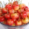 Organic Rainier Cherry Seeds - 5 Count - Edible Fruit Tree Seeds - Outdoor - Image 1