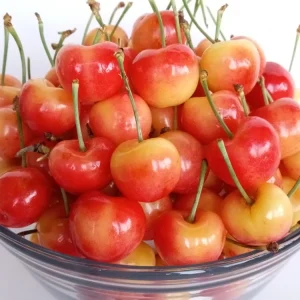 Organic Rainier Cherry Seeds - 5 Count - Edible Fruit Tree Seeds - Outdoor - Image 1