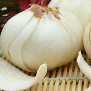 Organic Tiger Lily Lilium Lancifolium Live Rooted Plant - Edible Perennial - Image 13