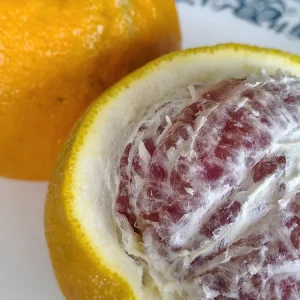 Organic Valentine Pummelo Citrus Seeds - 5 Hybrid Variety Seeds - Image 2