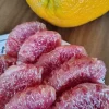 Organic Valentine Pummelo Citrus Seeds - 5 Hybrid Variety Seeds - Image 1