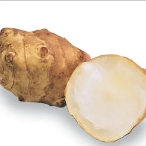 Organic White Fuseau Sunchoke Bulbs - Jerusalem Artichoke Helianthus Tuberosus 8 oz - Image 8