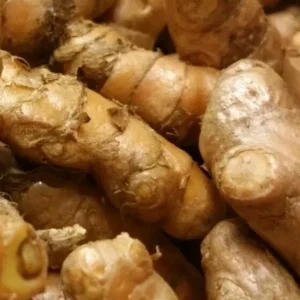 Organic Yellow Turmeric Ginger Bulbs - Live Edible Plant Ready to Grow, Outdoor, Edible, Perennial - Image 3