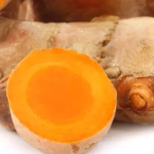 Organic Yellow Turmeric Ginger Bulbs - Live Edible Plant Ready to Grow, Outdoor, Edible, Perennial - Image 4