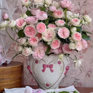 Pompon Veranda Rose Live Plant - Cream & Pink, 16-20
