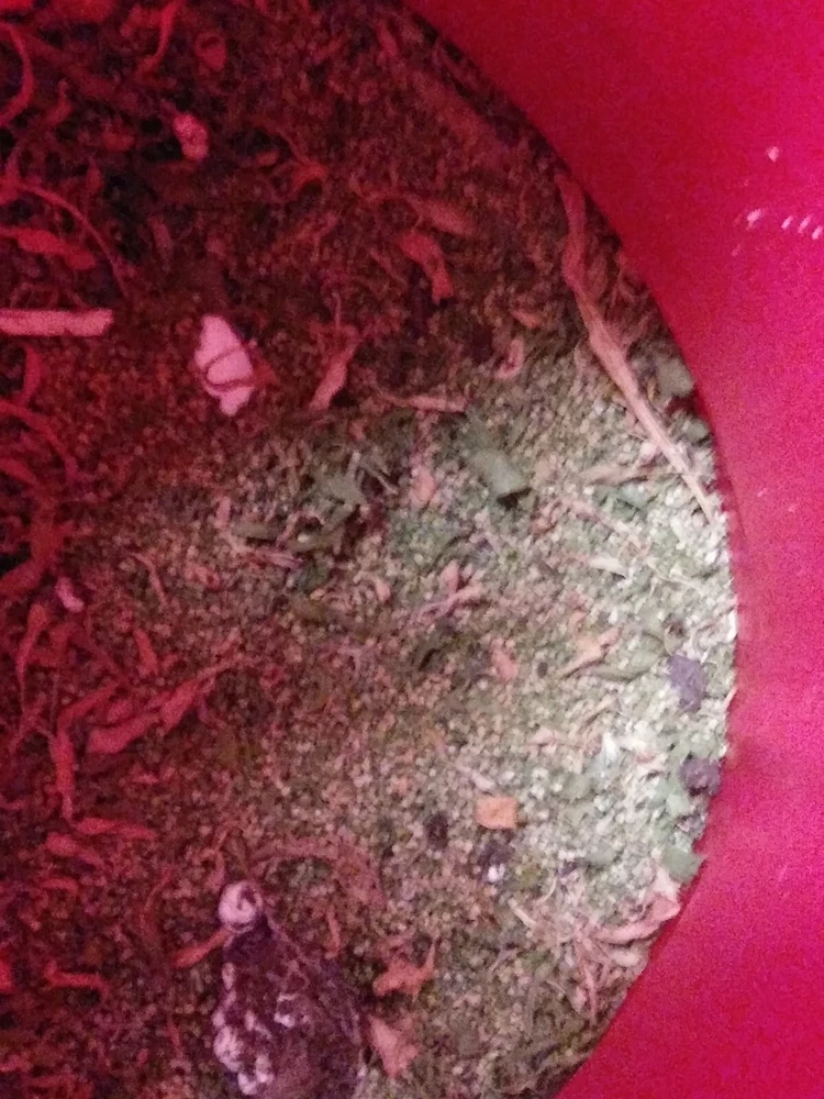 - Image 2