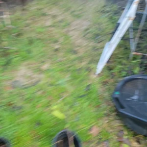 - Image 3