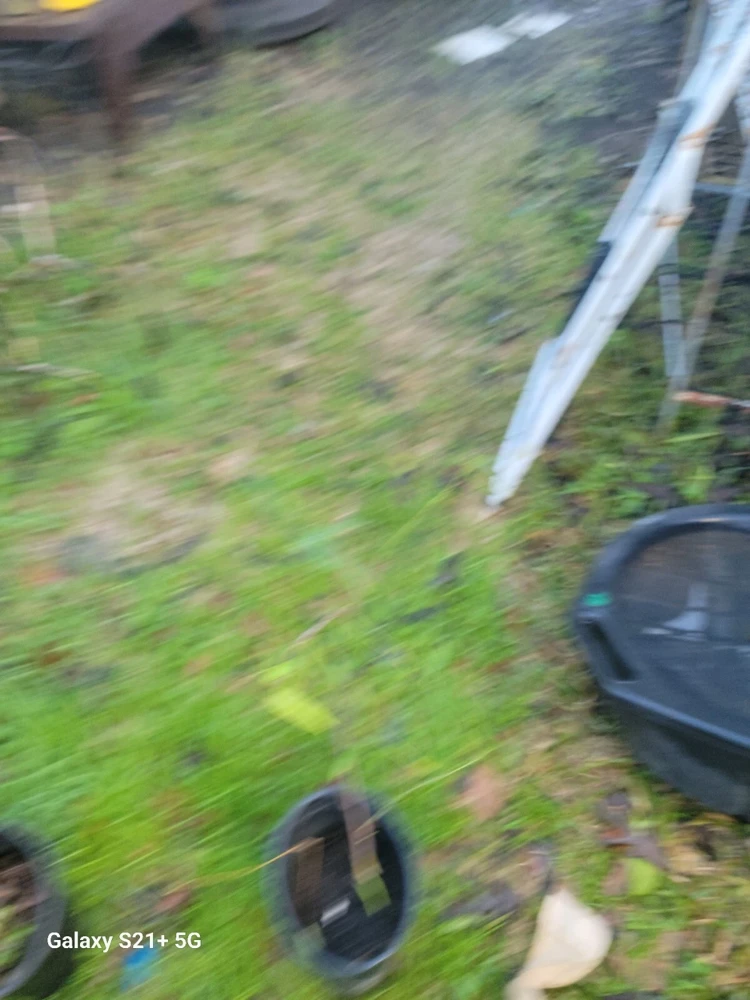 - Image 3
