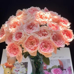 - Image 5