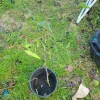 - Image 1