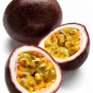 Purple Passion Fruit Vine Live Plant - Passiflora Edulis Starter Pot - Image 4