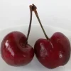 Red Cherry Fruit Tree Seeds - 15 Organic Seeds - Edible Perennial Outdoor - Image 1