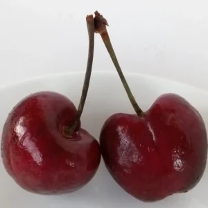 Red Cherry Fruit Tree Seeds - 15 Organic Seeds - Edible Perennial Outdoor - Image 1