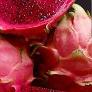 Red Dragon Fruit Pitaya Live Cuttings - 2 Pack, 8"+ Ready to Plant, Outdoor - Image 1