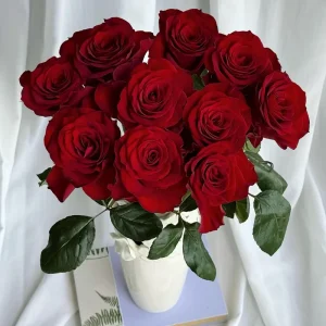 Red Gaoyuan Rose Live Plant – Deep Red Cut Flower for Gardens & Vases - Image 2