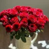 Red Gaoyuan Rose Live Plant – Deep Red Cut Flower for Gardens & Vases - Image 1