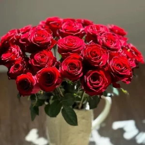 Red Gaoyuan Rose Live Plant – Deep Red Cut Flower for Gardens & Vases - Image 1