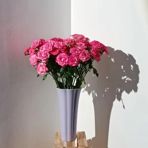 Rose Live Plant - Pink/Light Purple Double Petal - Fragrant - 8 cm Flower - Image 6