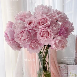 Sophie Rochas Rose Live Plant - Fragrant Pink Double Petal Rose for Garden - Image 6