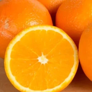 Sweet California Orange Tree Seeds - 5 Seeds Ready to Germinate - Outdoor - Image 2