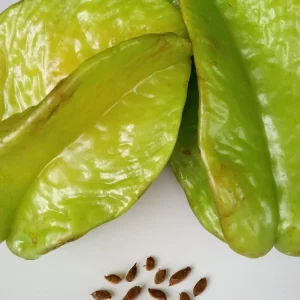 Tropical Star Fruit Seeds - 5 Seeds Averrhoa Carambola for Outdoor Planting - Image 1