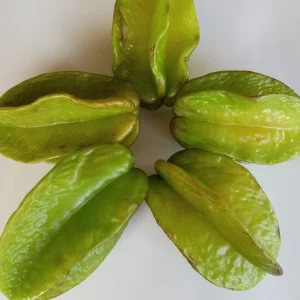 Tropical Star Fruit Seeds - 5 Seeds Averrhoa Carambola for Outdoor Planting - Image 7