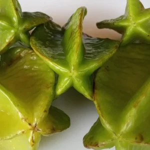 Tropical Star Fruit Seeds - 5 Seeds Averrhoa Carambola for Outdoor Planting - Image 8