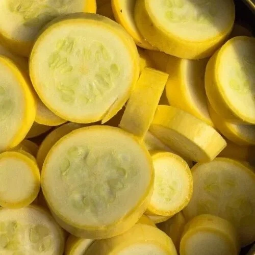 Yellow Crookneck Summer Squash Seeds - 50 Organic Heirloom Seeds - Easy Grow Outdoor - Image 2