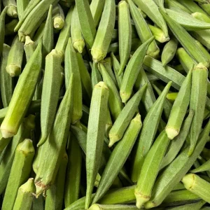 2 Green Okra Live Plants, 4-6 Inch Tall, Potted Starter Vegetable Plants - Image 3