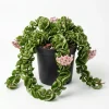- Image 1