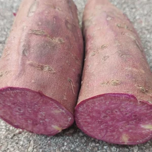 Purple Sweet Potato Live Plants - Stokes Variety, 4 Rooted Vines - Image 6
