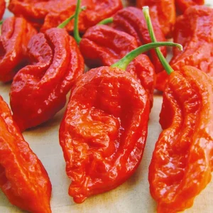 1/2 Kilogram Red Smoked Ghost Pepper Bhut Jolokia Powder - Hot Chili Spice - Image 3