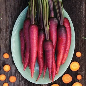 Carrot Seeds Combo Pack - Atomic Red, Chantenay, Purple Dragon, Solar Yellow, Nantes - Vegetable Seeds for Garden - Image 2