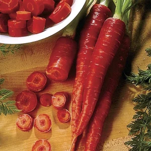 Carrot Seeds Combo Pack - Atomic Red, Purple Dragon, Solar Yellow, Nantes Annual Vegetable Seeds for Garden - Image 3