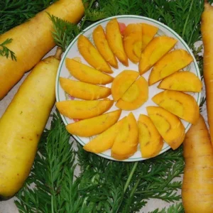 Carrot Seeds Combo Pack - Atomic Red, Purple Dragon, Solar Yellow, Nantes Annual Vegetable Seeds for Garden - Image 4
